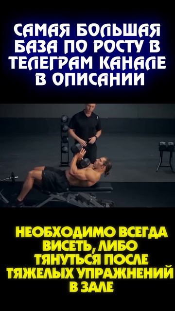 Почему растяжка важна для роста после тяжелых занятий в зале