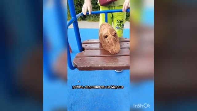 Милая капибара (серия 2) смотреть онлайн