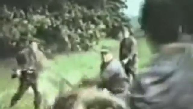 Система боевого выживания Кадочникова. Законы жизни, специальная психология. #army#military#history смотреть онлайн