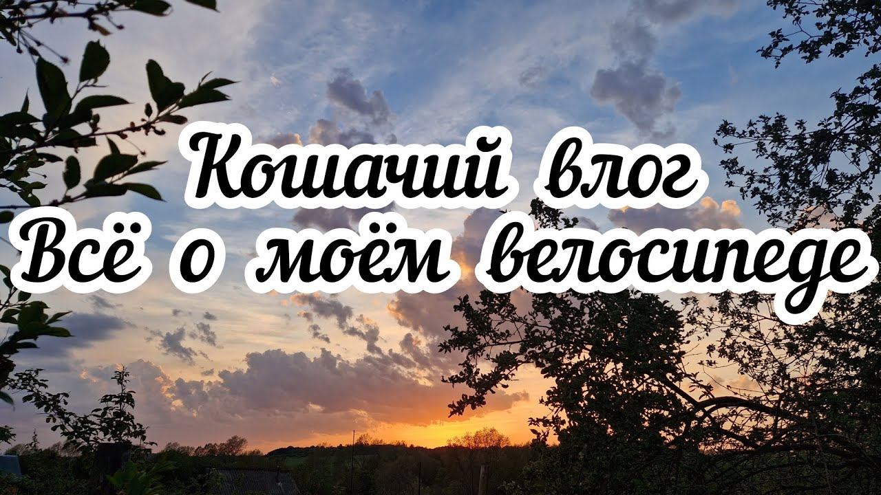 Кошачий влог⬛ Всё о моем велосипеде смотреть онлайн