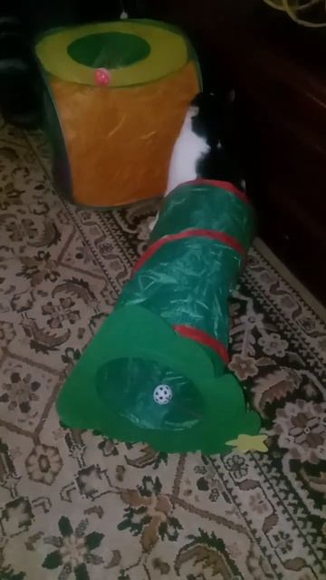 Новый тоннель? Интересненько... Изучаю... ;-)