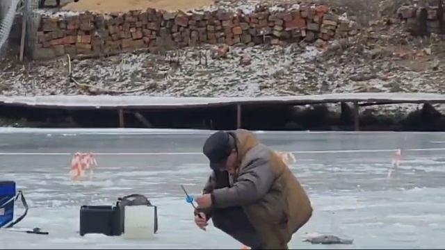 10-02-2025 смотреть онлайн