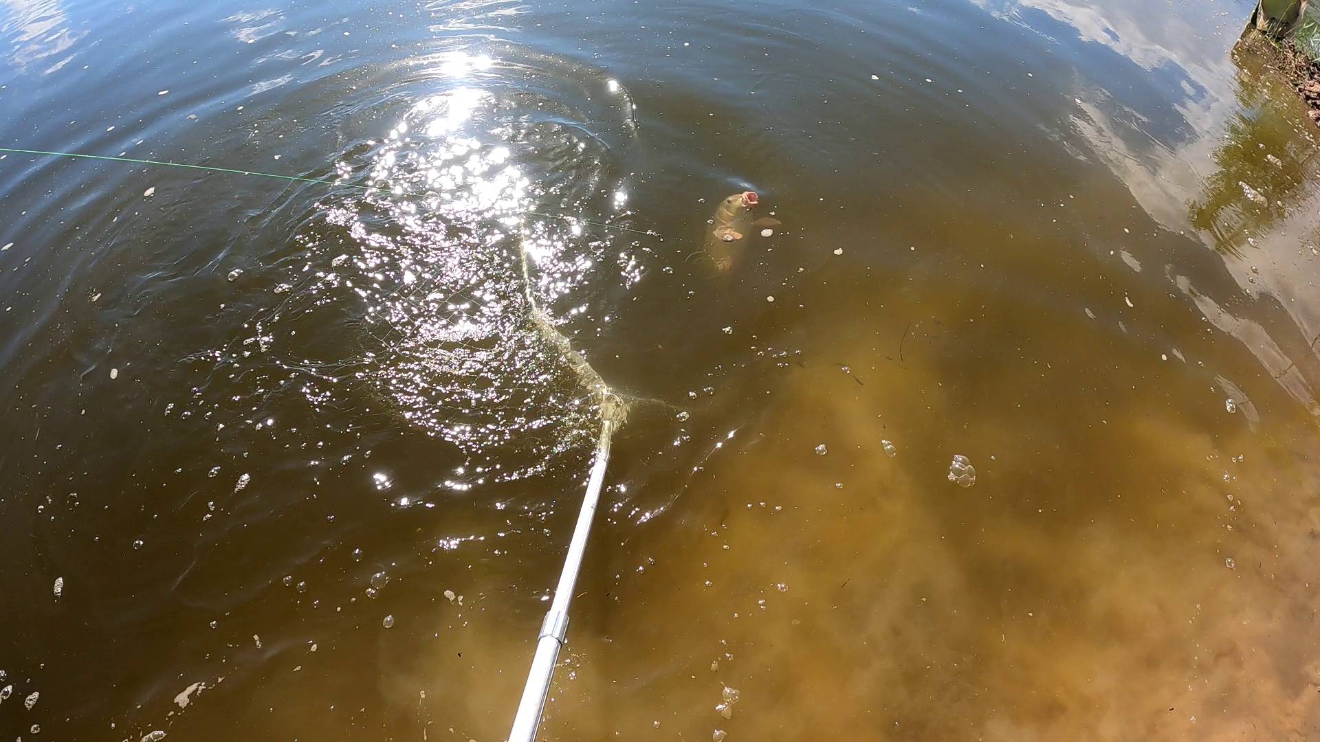 Рыбалка летом на донки. Поймали сазана на жмых смотреть онлайн