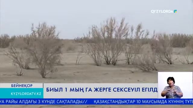 БИЫЛ 1 МЫҢ ГА ЖЕРГЕ СЕКСЕУІЛ ЕГІЛДІ смотреть онлайн