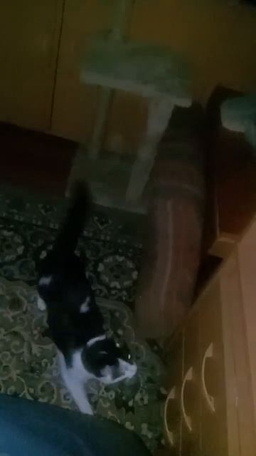 Решила немножко размяться...