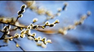 Б  Окуджава  Песенка о пехоте  Стихи #стихиовойне #авторскаяпесня #поэты20века