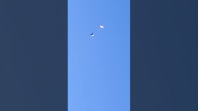 воронежская обл голуби кретинина Николая смотреть онлайн