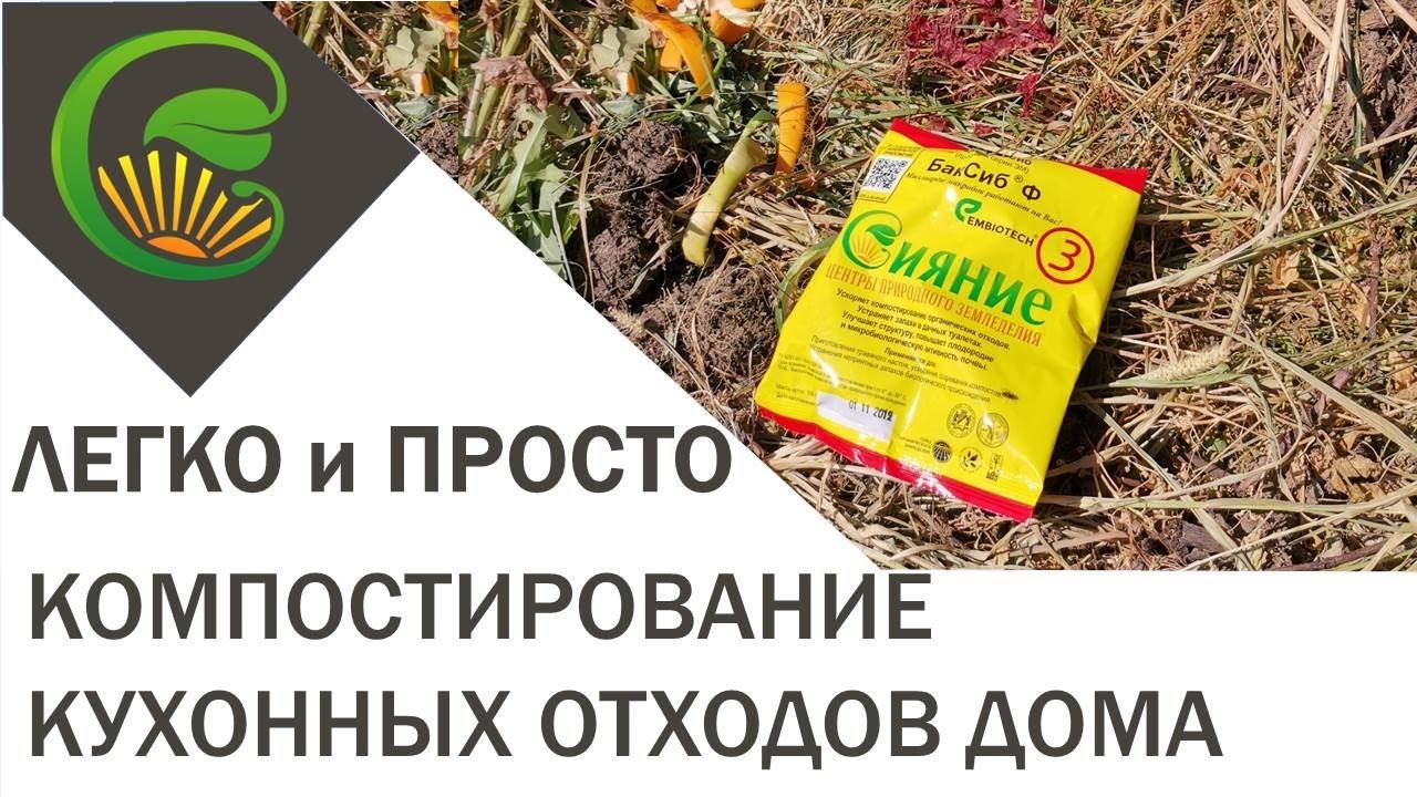 Кухонные отходы – ЛЕГКО и ПРОСТО КОМПОСТИРУЕМ прямо в квартире смотреть онлайн
