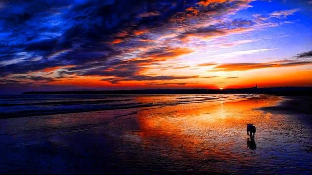 Shogun feat. Emma Lock - Imprisoned (Original Mix) [HD] + Lyrics смотреть онлайн