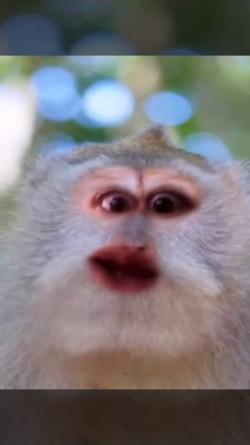 Смешное короткометражное видео| Прикол! смотреть онлайн