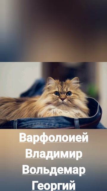 Именины 10 февраля