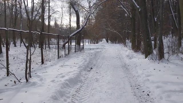 Кишинёв.Рышкановка, 3- е озеро белок так и не увидела.(11.01.24). смотреть онлайн