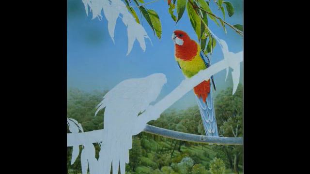 Progressive stages of Eastern Rosella painting by Frances McMahon : NEW! смотреть онлайн