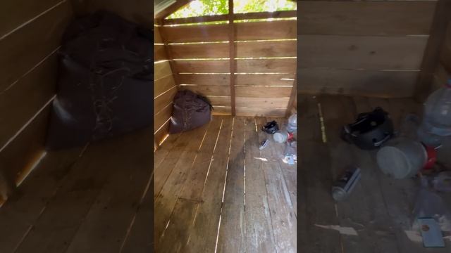 Tikus bersarang di rumah pohon смотреть онлайн