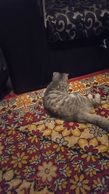 Мята смотреть онлайн