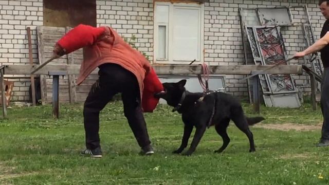 БХ ШАКИРА 11 месяцев первая встреча с костюмом смотреть онлайн