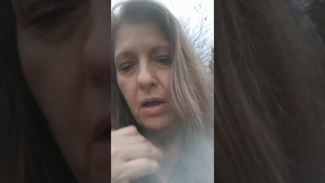 Rosella! A tropical plant growing in Zone 7 смотреть онлайн