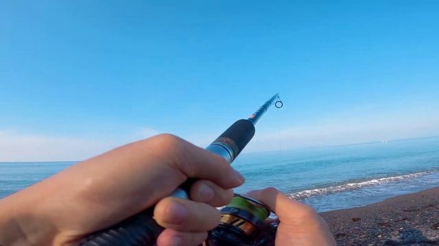 Surf Fishing in Japan's idyllic waters can yield a lot of fish! смотреть онлайн