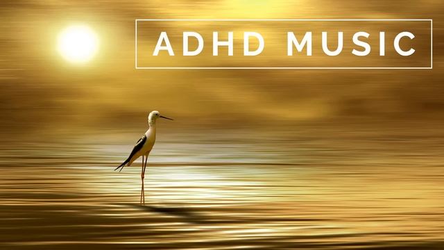 ADHD Music - Focus Music for Better Concentration, Study Music смотреть онлайн