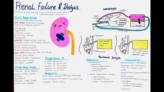 Overview: Renal Failure (Acute + Chronic) and Dialysis смотреть онлайн