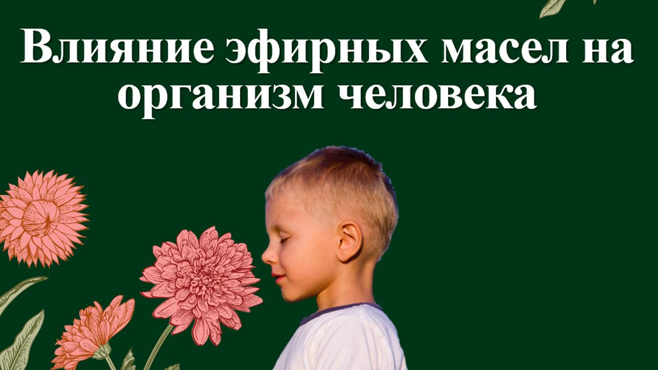 Эфирные масла и ЦНС