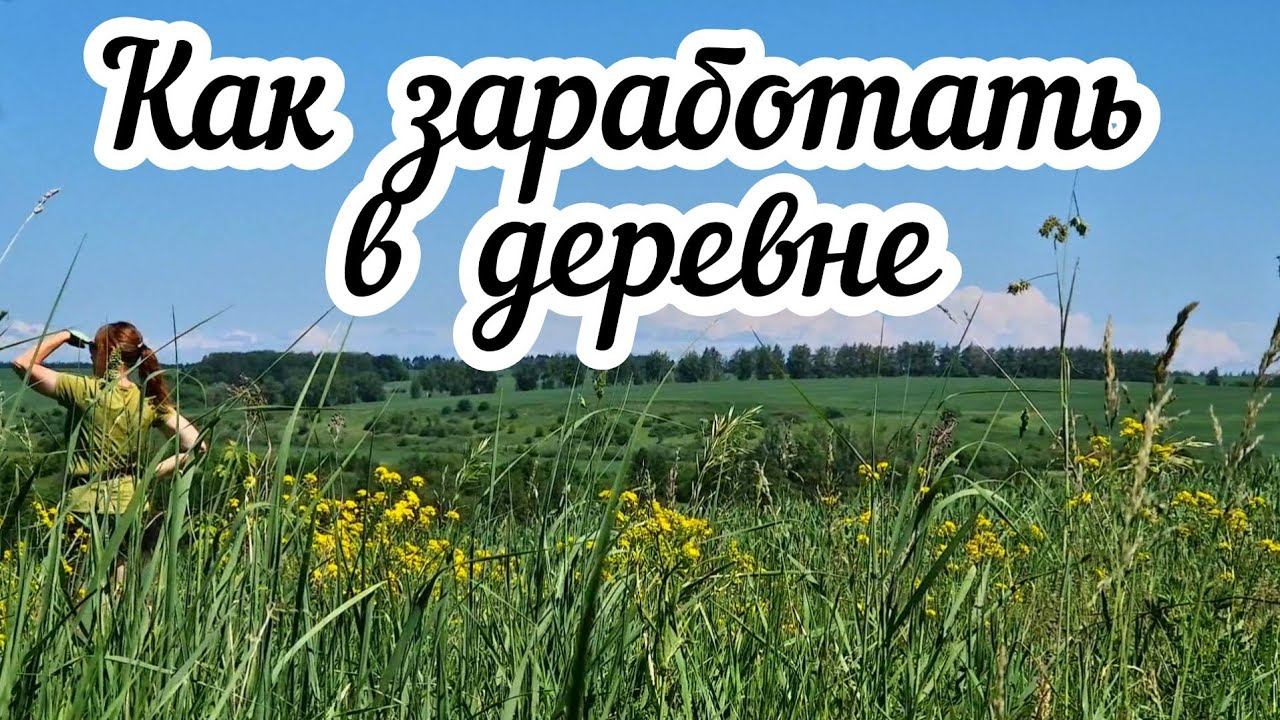 Как заработать в деревне? Мой опыт удаленной работы смотреть онлайн