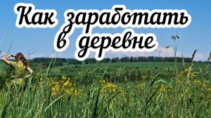 Как заработать в деревне? Мой опыт удаленной работы 