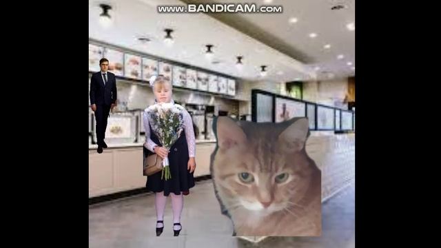 Ginger The Cat Throws A Tantrum When Trying To Take Fryer Home That Never Released (PUNISHED)