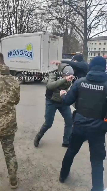 Свободная, добровольная мобилизация, самой демократично-патриотичной страны смотреть онлайн