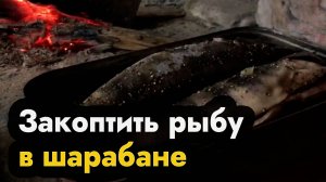 Как закоптить рыбу в шарабане - сделать рыбу горячего копчения