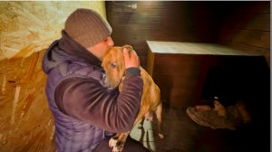 СОБАКА АДЕЛЬ БРОСИЛАСЬ В ОБЪЯТИЯ СВОЕГО СПАСИТЕЛЯ