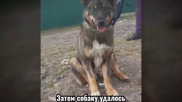 История Милы. смотреть онлайн