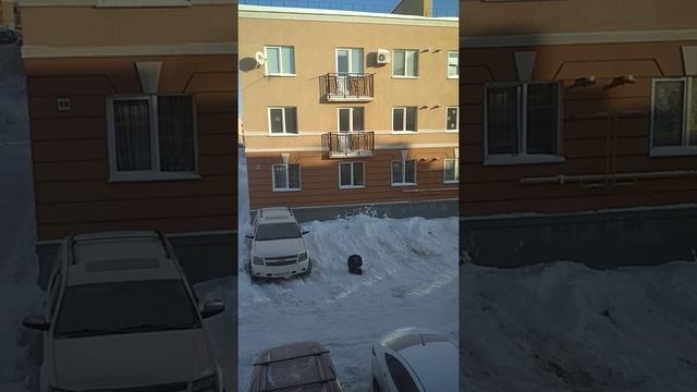 Новый Год! Свинки отдыхают! смотреть онлайн