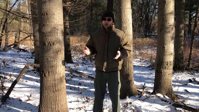 Aspen for firewood!? Is it any good? смотреть онлайн