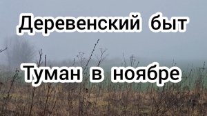 Туман в ноябре  Деревенский быт
