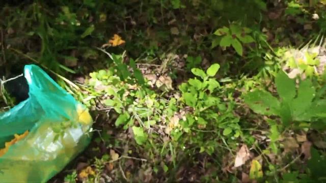 день сурка ☀️ смотреть онлайн