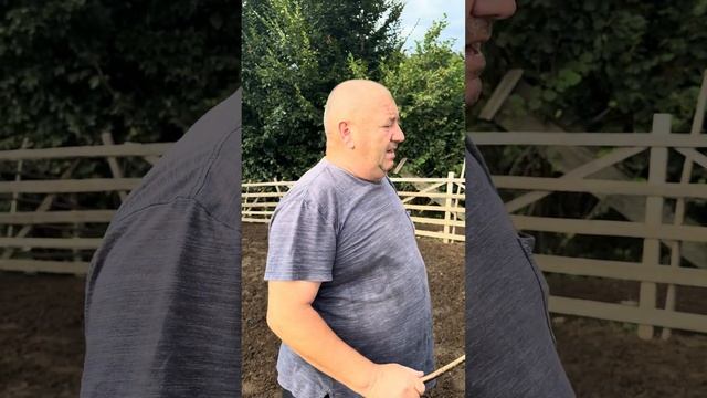 Oameni faini din Maramureș смотреть онлайн