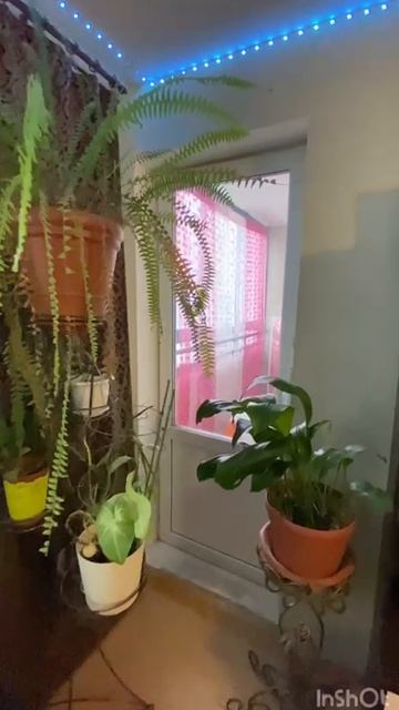 Павла Шаманова_Екатеринбург