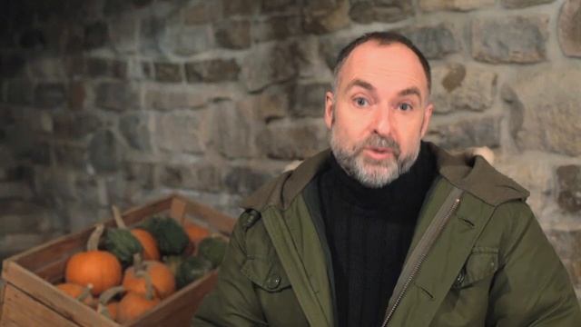 ROOT CELLARS: Learn to Build Your Own Video Course смотреть онлайн