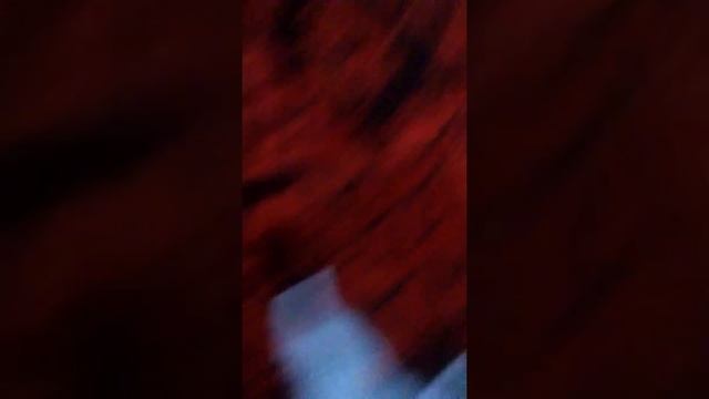25 марта 2018 г. смотреть онлайн