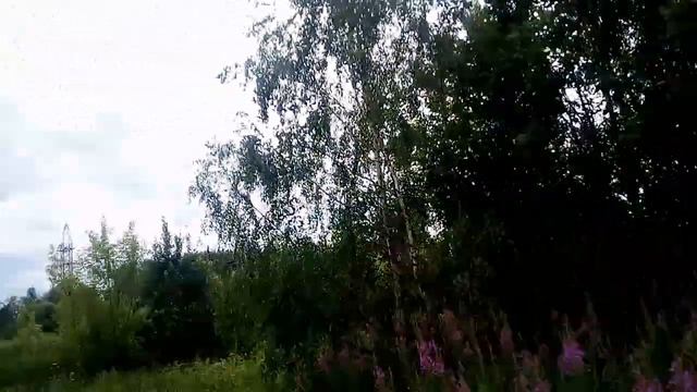 Кефер наказан и будет на привязи с Чернышем на пару . смотреть онлайн