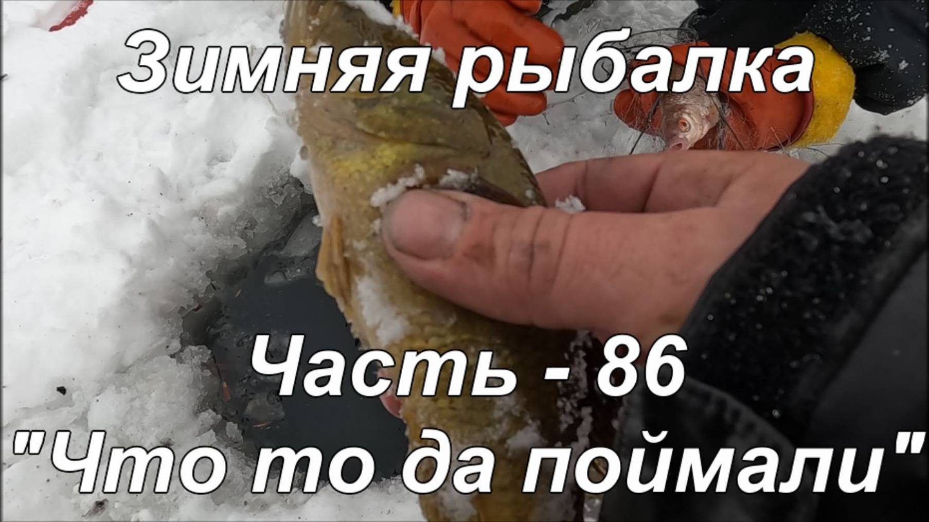 Зимняя рыбалка. Часть - 86. "Что то да поймали". смотреть онлайн