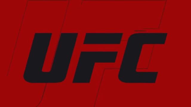 EA SPORTS™ UFC® 3_20190507001157 смотреть онлайн