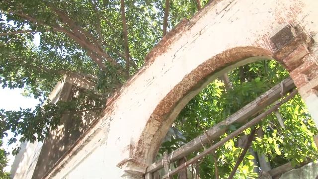 ÁRBOL DE HIGUERA смотреть онлайн