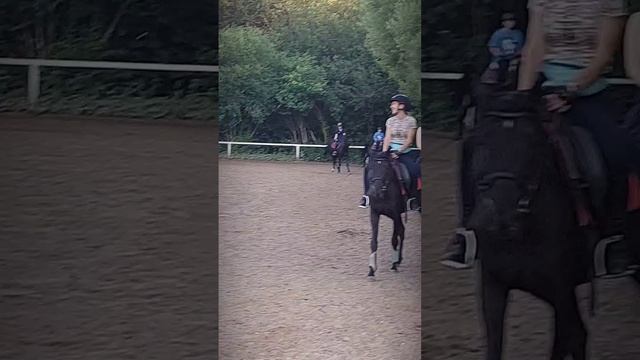 НЕЛЛИ БАЙМАТОВА / КОНИ ПРИВЕРЕДЛИВЫЕ смотреть онлайн