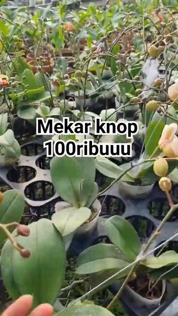 26 Juni 2023 смотреть онлайн