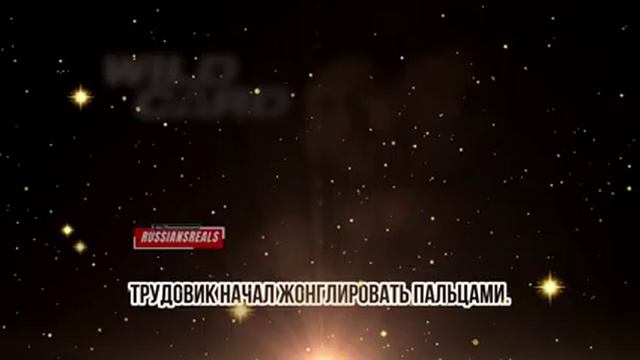 стетхем база 2025