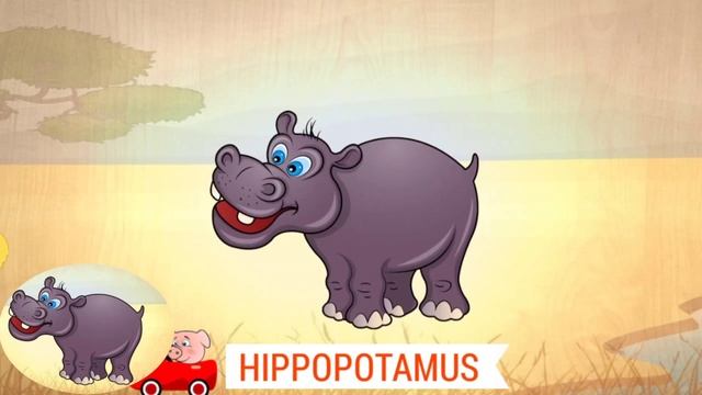 Funny Animal Puzzles for Kids | Stork and Hipopotamus смотреть онлайн