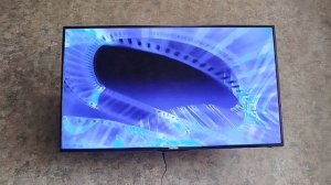 Открытие DVD-диска Лунтик "День рождения"