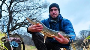 Ловля спиннингом с инерционной катушкой Нельма